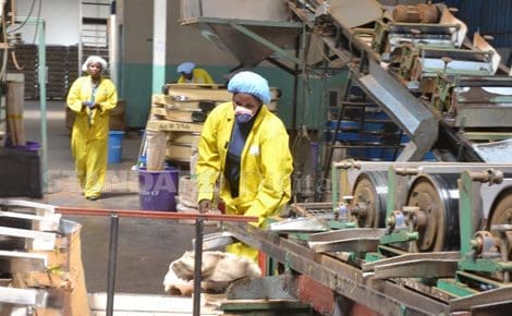 manufacturing manufacturing