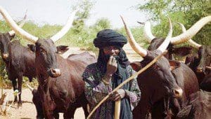wpid-Fulani-Herdsmen1-300x170.jpg