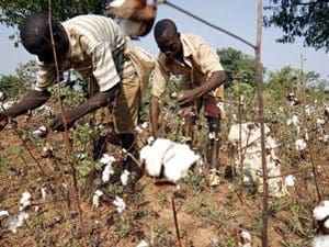 Farmers Farmers