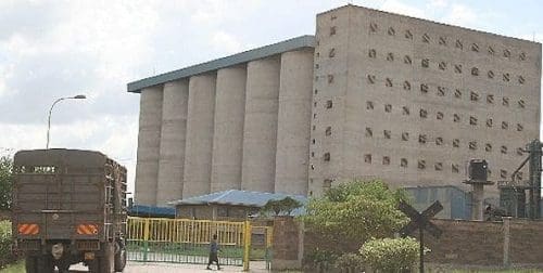 wpid-national-cereals-board-kenya.jpg