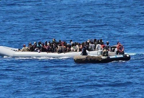 migrants migrants