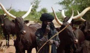wpid-fulani-herdsmen-300x179.jpg