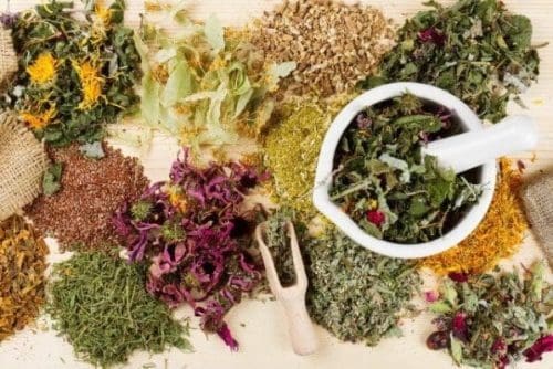 healing herbs on wooden table, herbal medicine healing herbs on wooden table, herbal medicine