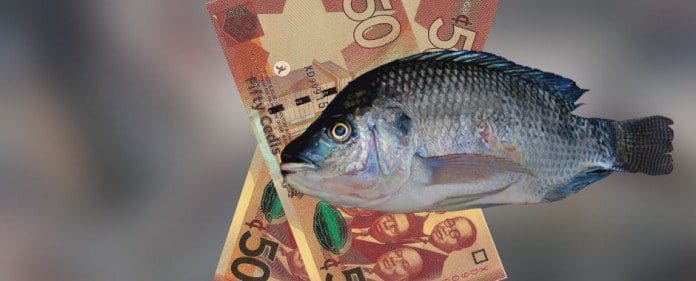 Safeway Tilapia Investment