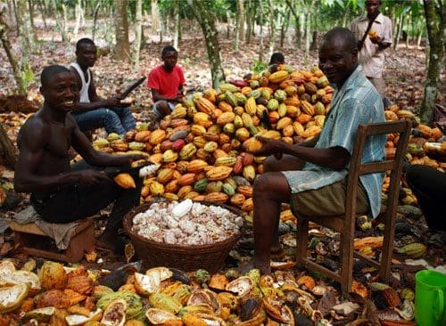 wpid-Cocoa-farmers-pix.jpg