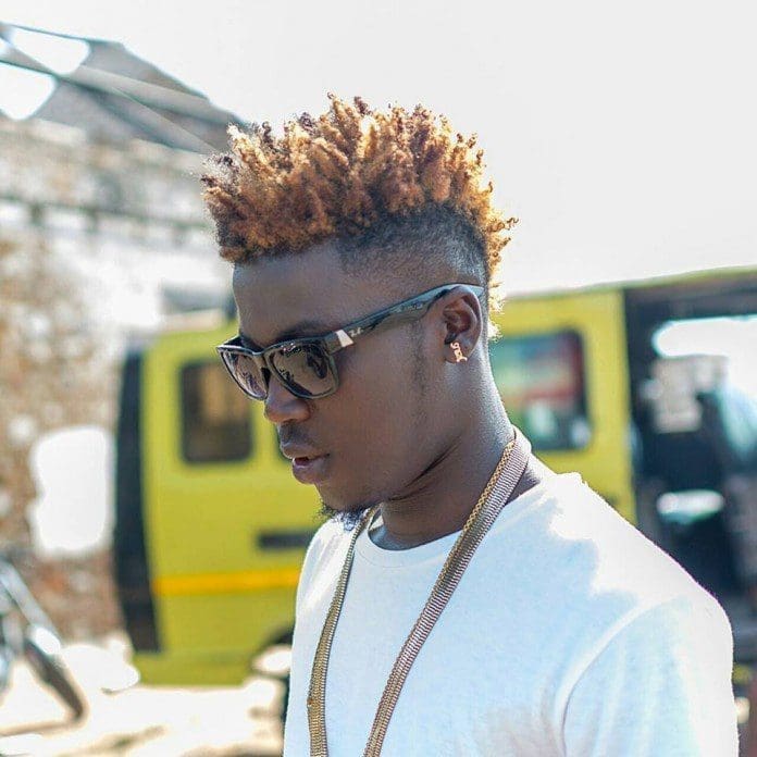 wisa-1.jpg