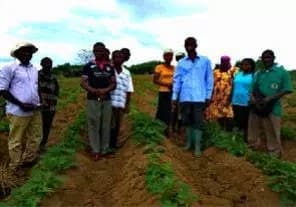 MoFA establishes demonstration centres to educate farmers MoFA establishes demonstration centres to educate farmers