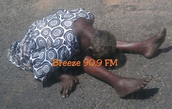 BEES ATTACK BEES ATTACK