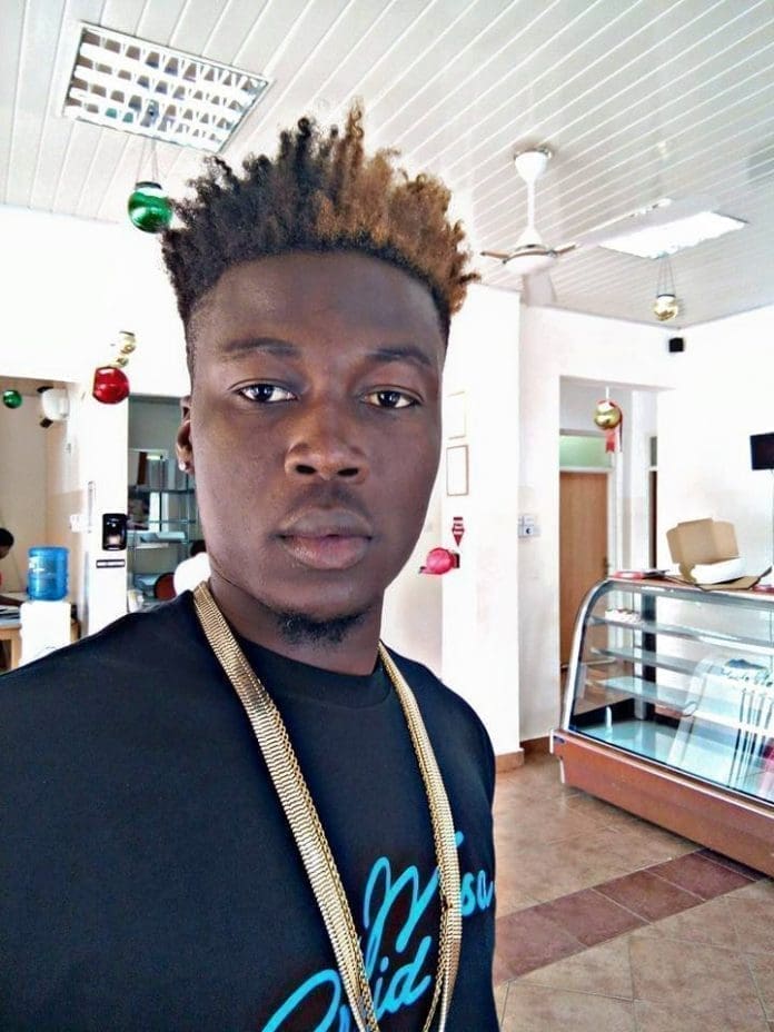 Wisa