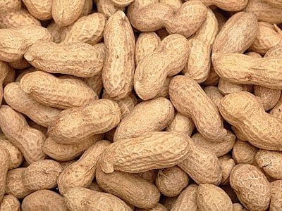 groundnut groundnut