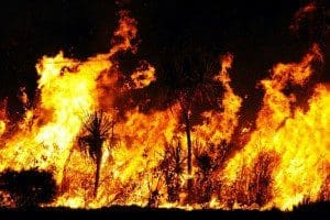 Australia-Bushfire1-300x200.jpg fire