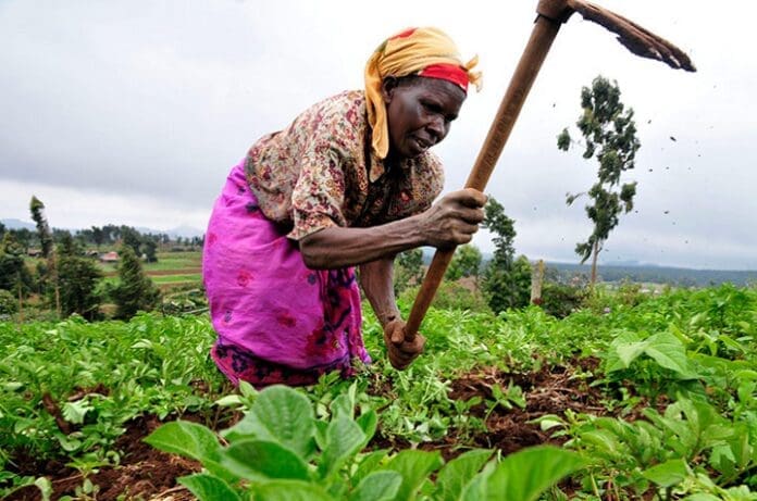 agric