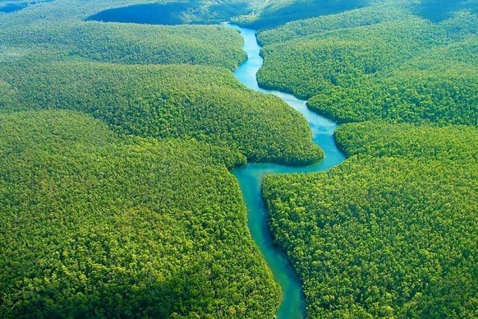 The Amazon The Amazon
