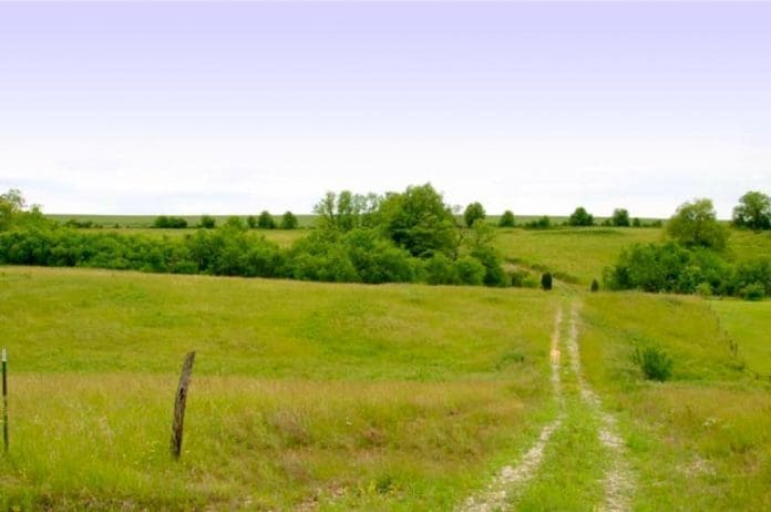 land