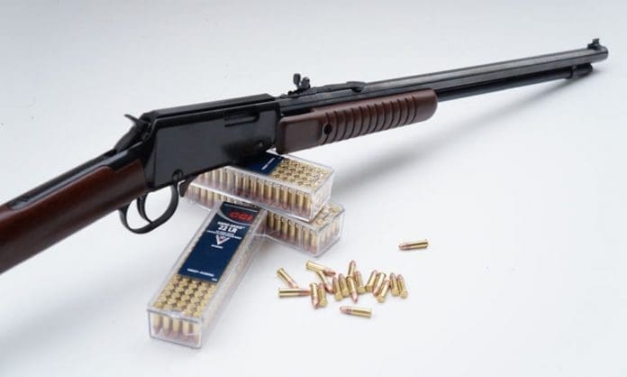 Gun