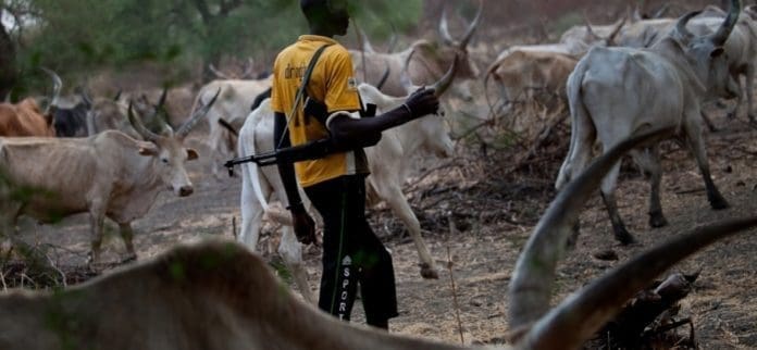 herdsmen-fulani herdsmen-fulani