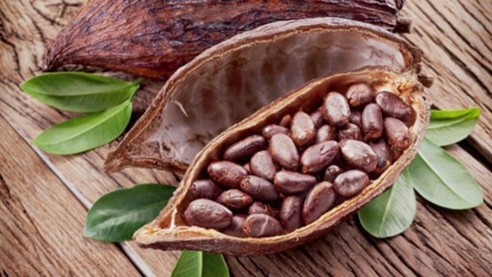 Cocoa Cocoa has been the main cash crop for ghana.