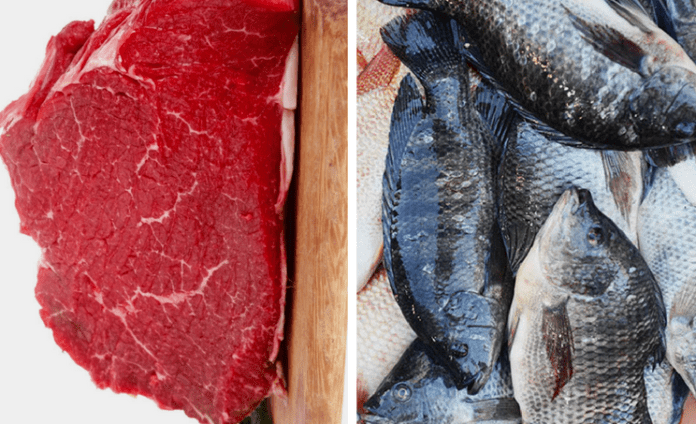 MEAT vs FISH