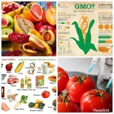 GMOs AND NON-GMOs GMOs AND NON-GMOs