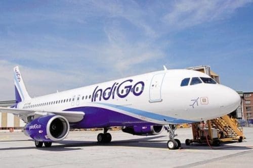 indigo air indigo air