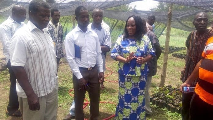 CASHEW SEEDLINGS DCE with some farmers at the Assembly’s nursery