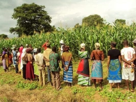 Economics Land Acess A group of farmers in Sawla