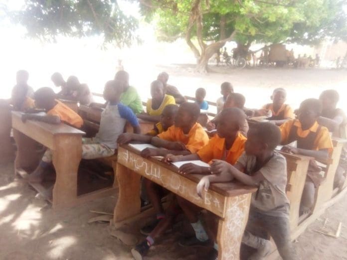 Education School Under Tree School Under Tree