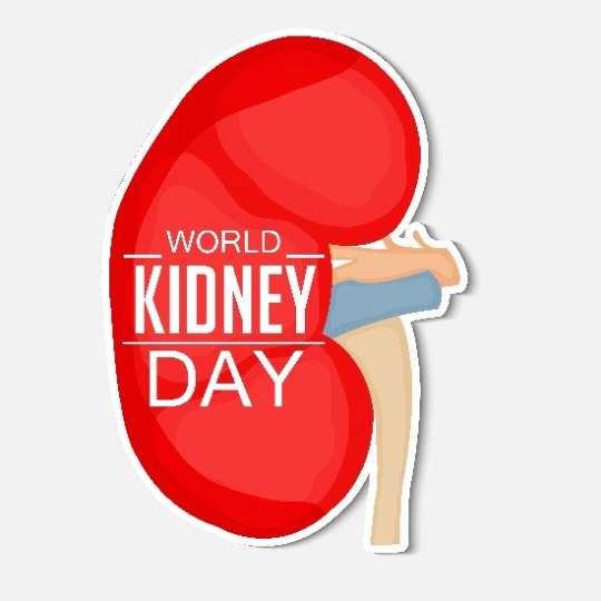 Kidney Day Kidney Day