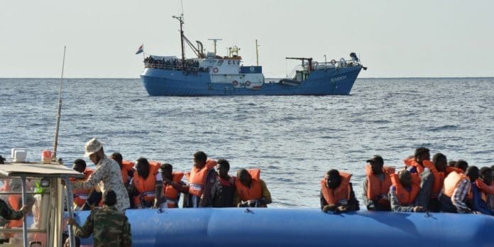 migrants