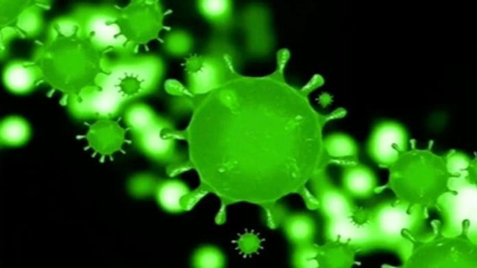 novel coronavirus