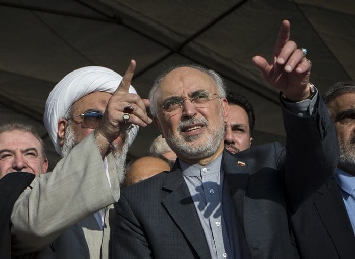 Ali Akbar Salehi (R), head of the Atomic Energy Organization of Iran, visits the construction site of the second phase of Iran's Bushehr Nuclear Power Plant in Bushehr, southern Iran, on Nov. 10, 2019. The concrete placement for the construction of the second phase of Iran's Bushehr Nuclear Power Plant started on Sunday. (Photo by Ahmad Halabisaz/Xinhua)