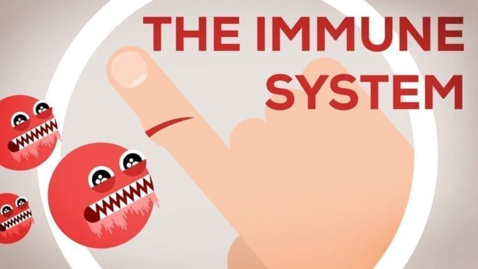 immune system immune system