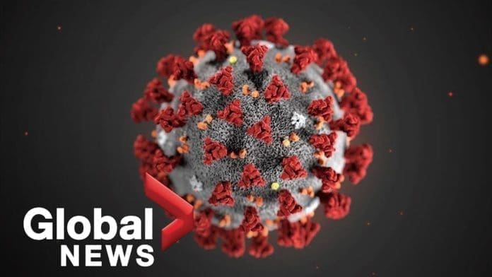 novel coronavirus