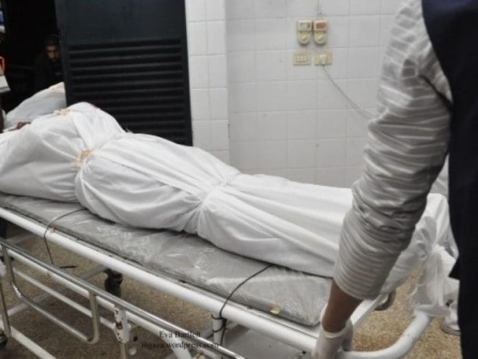 Dead Bodies Dead Bodies