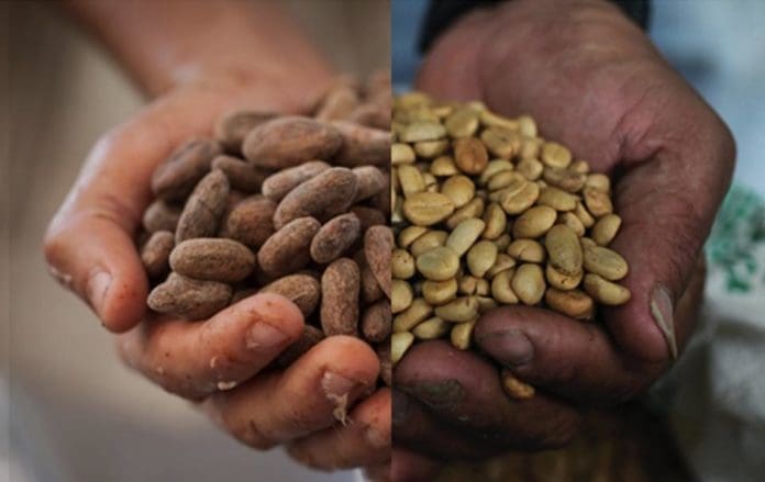 Cocoa Coffee Cocoa Coffee