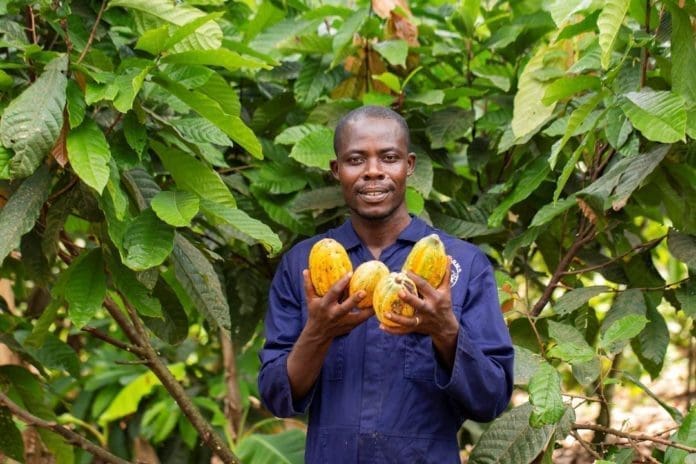 Cocoa Farmer