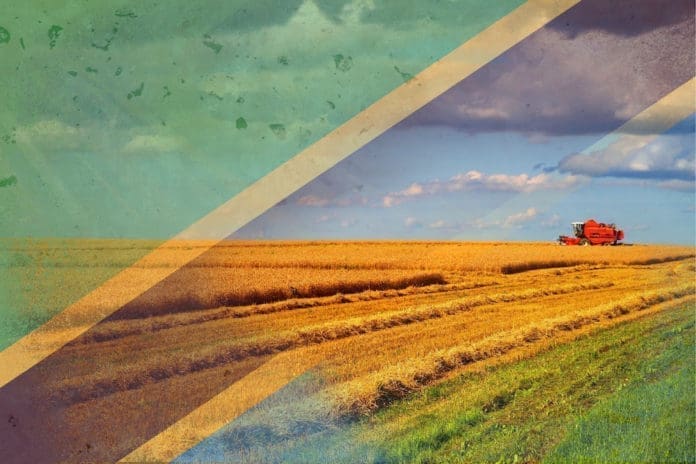 Gmo Trials