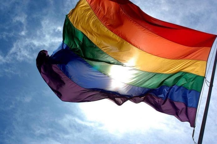 LGBT Rainbow Flag © 2008 Ludovic Berton (Wikimedia Commons)