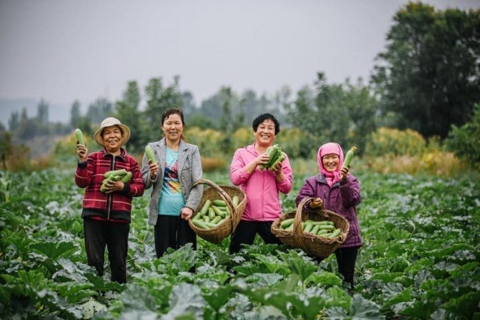 UN Women China Qinghai programme has benefited local women.