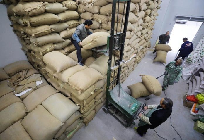 Workers place screened seeds in a warehouse at the Suichang branch of Zhejiang Wuwangnong Seeds Shareholding Co.,Ltd., Jan. 6, 2021. (Photo by Zhang Jianhui/People's Daily Online) Workers place screened seeds in a warehouse at the Suichang branch of Zhejiang Wuwangnong Seeds Shareholding Co.,Ltd., Jan. 6, 2021. (Photo by Zhang Jianhui/People's Daily Online)