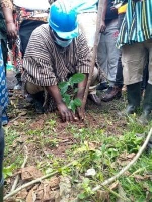 Tree planting Project 12