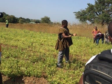 Dr Julius explaining stem cutting process to farmers Science Technology Farmers