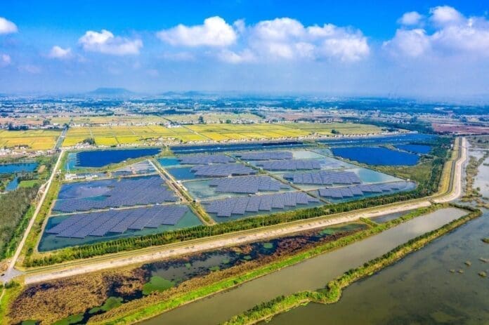 A modern fishery that combines photovoltaic power generation and fish farming in Liuhe district, Nanjing, east China's Jiangsu province. (Photo by Du Yi/People's Daily Online)