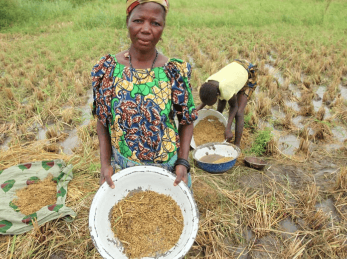 Economics Benchmark Impact