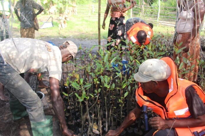 Environment Ngo Tree Planting