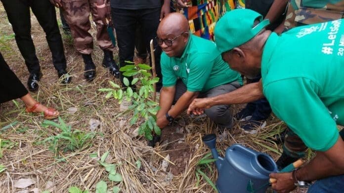 Mr George Gerard Naluri, DCE for Lambussie planting a tree at the Lambussie District Assembly