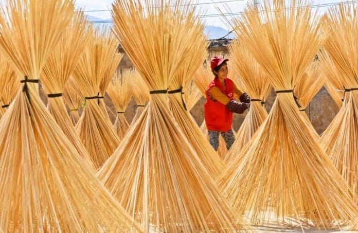 A villager is sun-drying bamboo splits at a bamboo processing plant in Xinan village, Gaofu township, Zixi county, Fuzhou, east China's Jiangxi province, July 12, 2022. (Photo by Wu Zhigui/People's Daily Online)