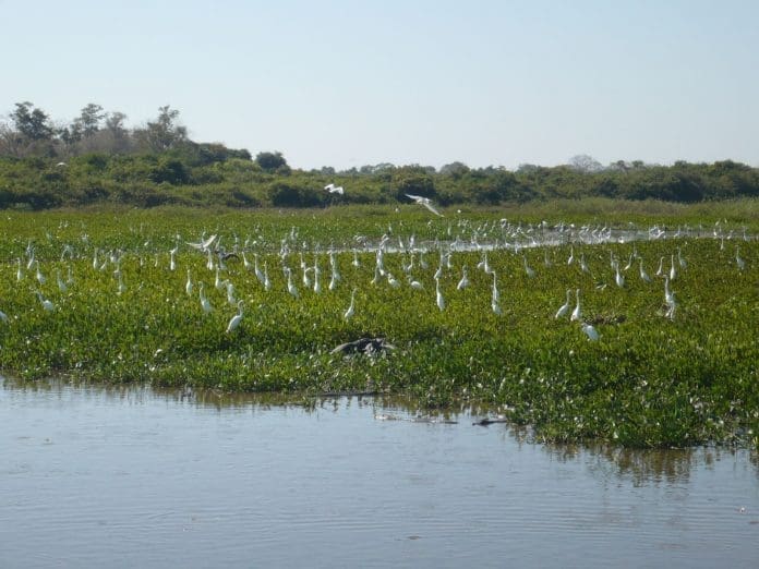 Wetlands And Ramsar Sites