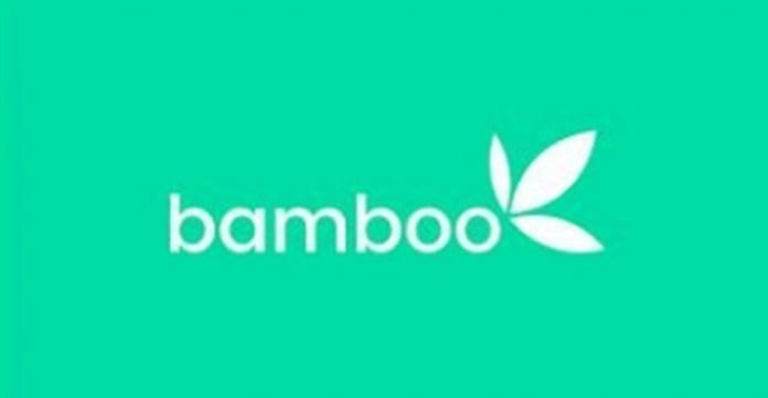 Bamboo Bamboo