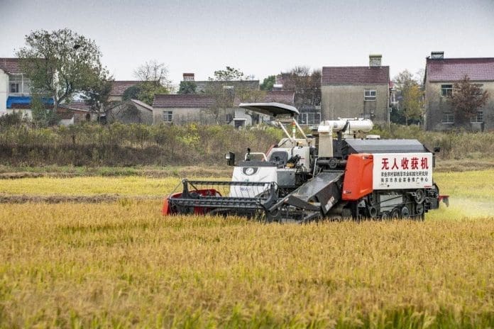 A smart harvester guided by China's BeiDou Navigation Satellite System works in a paddle field in Nanjing, east China's Jiangsu province, Nov. 23, 2022. (Photo by Zhu Hongsheng/People's Daily Online)